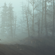 Fallout 4